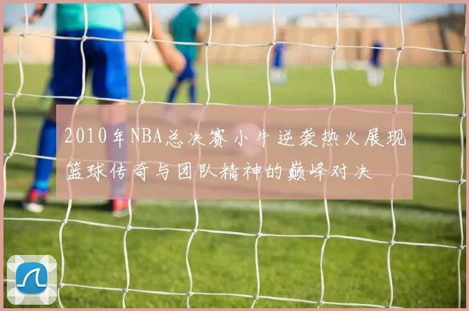 2010年NBA总决赛小牛逆袭热火展现篮球传奇与团队精神的巅峰对决