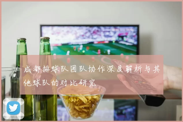 成都排球队团队协作深度解析与其他球队的对比研究