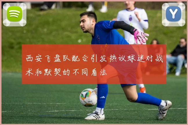 西安飞盘队配合引发热议球迷对战术和默契的不同看法