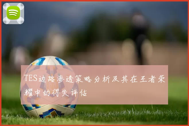 TES边路渗透策略分析及其在王者荣耀中的得失评估