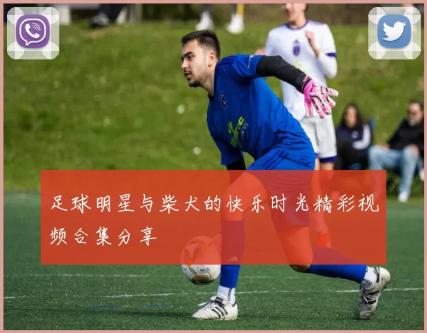 足球明星与柴犬的快乐时光精彩视频合集分享