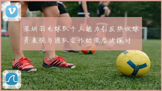 深圳羽毛球队个人能力引发热议球员表现与团队合作的深层次探讨