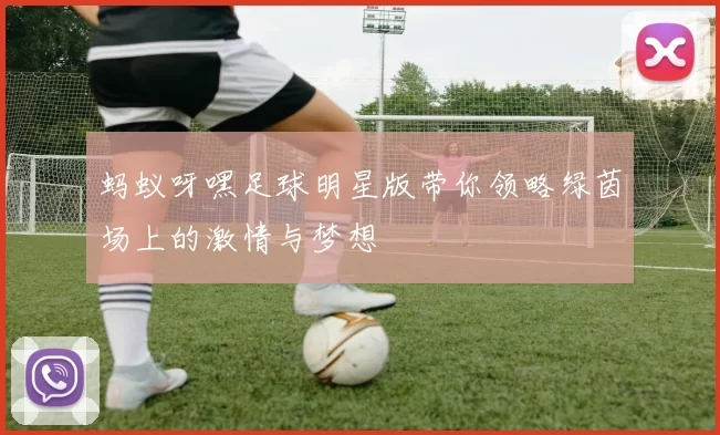 蚂蚁呀嘿足球明星版带你领略绿茵场上的激情与梦想