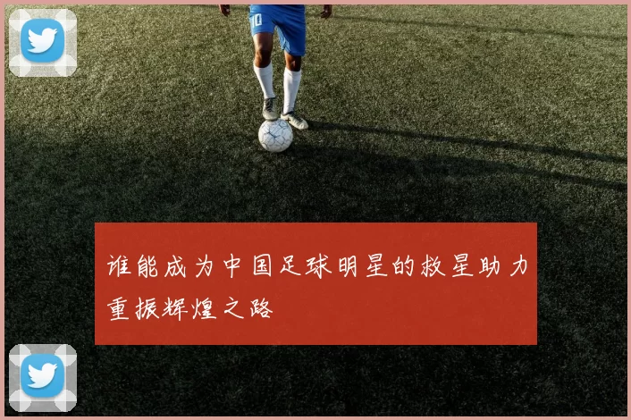 谁能成为中国足球明星的救星助力重振辉煌之路