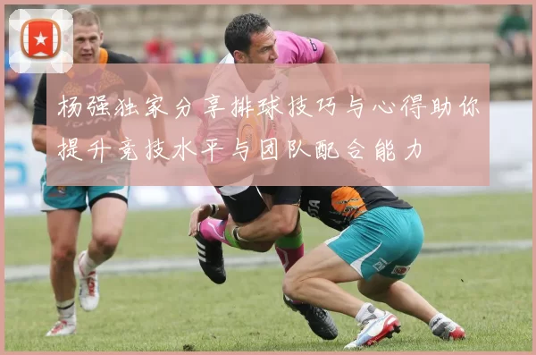 杨强独家分享排球技巧与心得助你提升竞技水平与团队配合能力