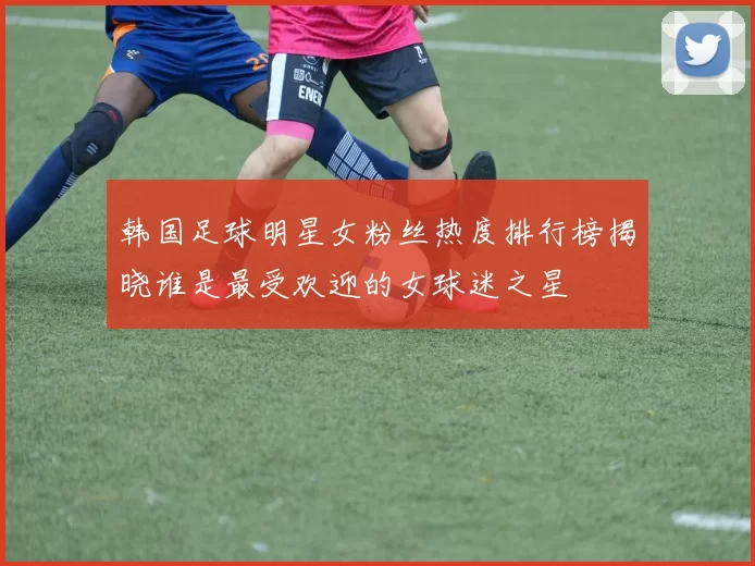 韩国足球明星女粉丝热度排行榜揭晓谁是最受欢迎的女球迷之星