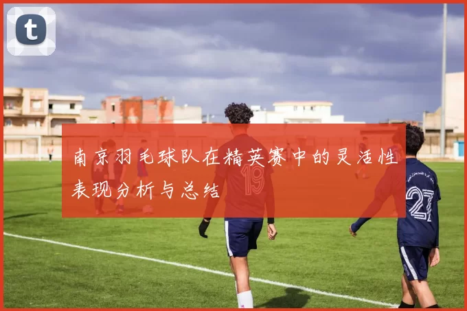 南京羽毛球队在精英赛中的灵活性表现分析与总结