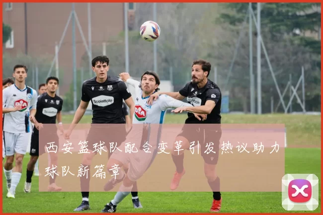 西安篮球队配合变革引发热议助力球队新篇章