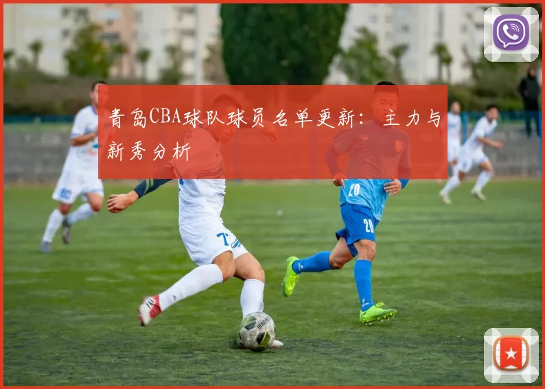 青岛CBA球队球员名单更新：主力与新秀分析
