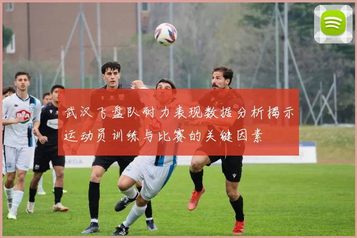 武汉飞盘队耐力表现数据分析揭示运动员训练与比赛的关键因素