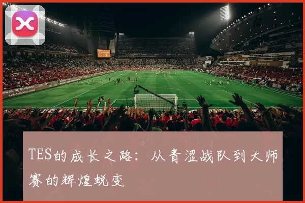 TES的成长之路：从青涩战队到大师赛的辉煌蜕变