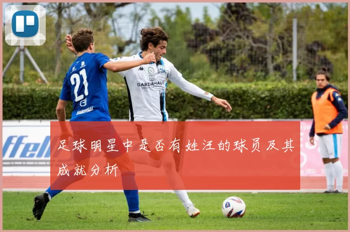 足球明星中是否有姓汪的球员及其成就分析