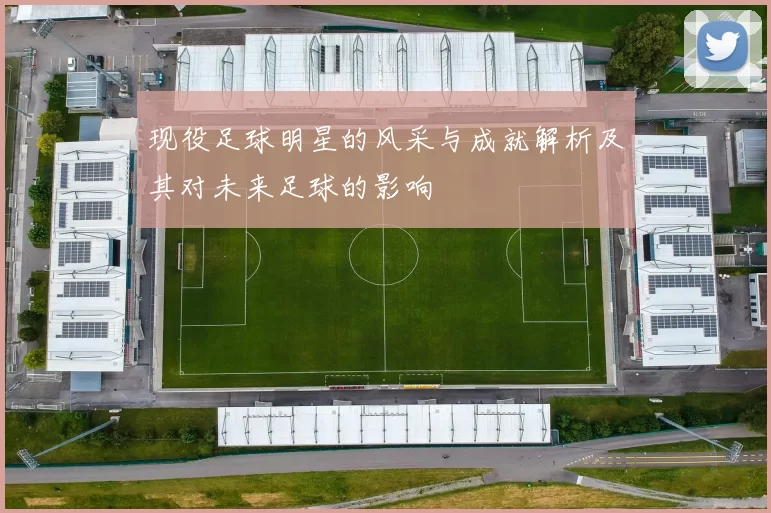 现役足球明星的风采与成就解析及其对未来足球的影响