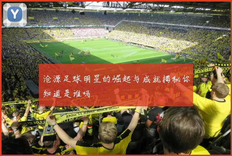 沧源足球明星的崛起与成就揭秘你知道是谁吗