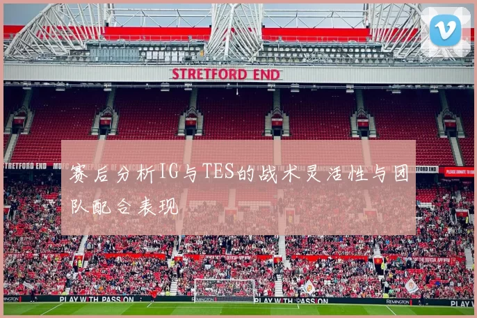 赛后分析IG与TES的战术灵活性与团队配合表现